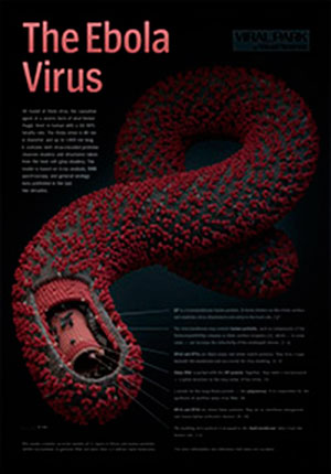 Вирус Эбола: Микроскопические убийцы