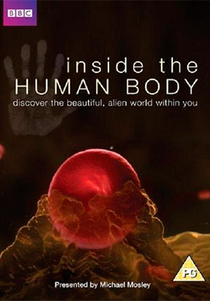 Внутри человеческого тела