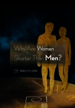 Почему женщины ростом ниже мужчин?