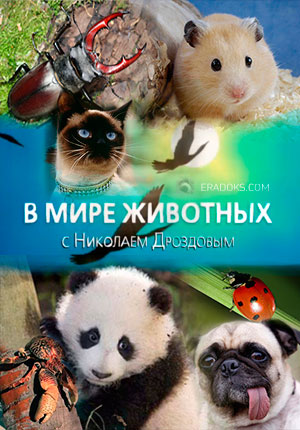 В мире животных с Николаем Дроздовым