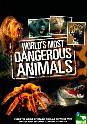 10 самых опасных животных. Рейтинг Джека Ханны