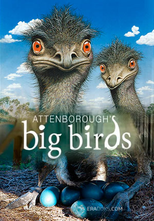 Большие птицы с Дэвидом Аттенборо