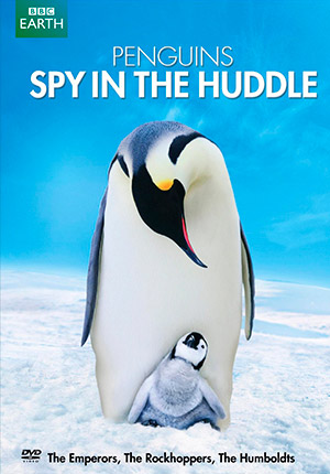 Пингвин: Шпион под прикрытием