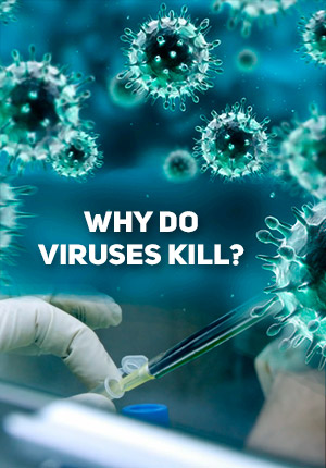 Почему вирусы убивают?