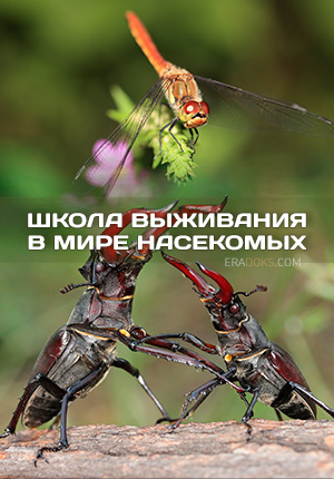 Школа выживания в мире насекомых