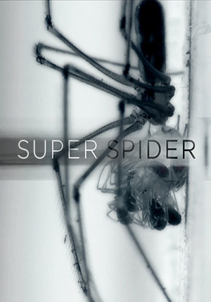 Супер паук