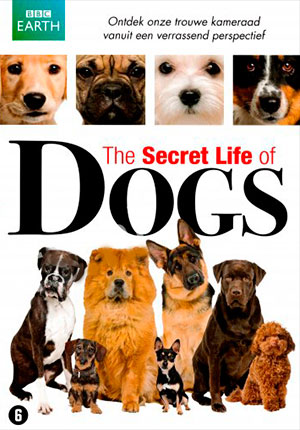 Тайная жизнь собак